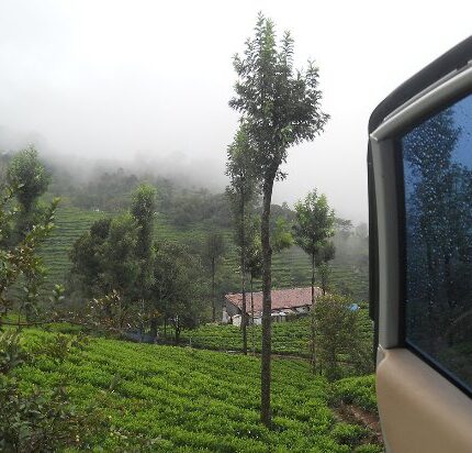 Ooty Coonoor Kotagiri Mysore Tour Package 5 Days