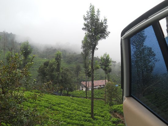 Ooty Coonoor Kotagiri Mysore Tour Package 5 Days Ooty Coonoor Kotagiri Mysore Tour Package 5 Days