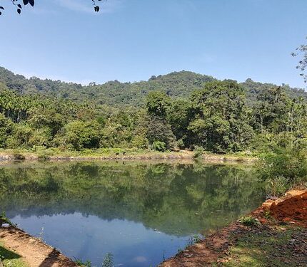 Agumbe Kollur Tour Package