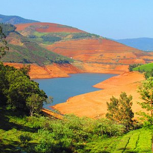 Ooty Pykara Lake Pykara Falls Doddabetta Peak Coonoor Tour Package 4 Days