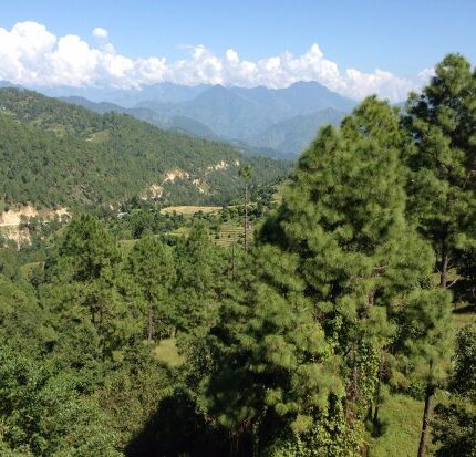 Pithoragarh Didihat Tour Package 3 Days