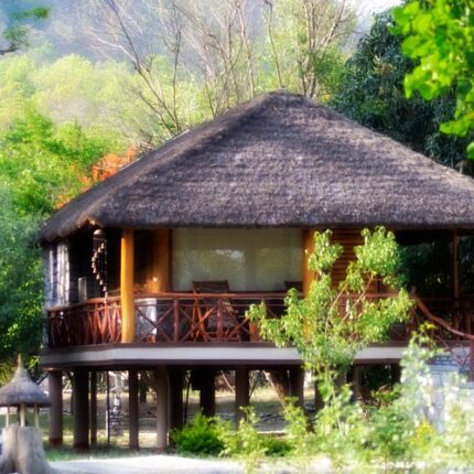 Jim Corbett Ranikhet Tour Package from Delhi 4 Days