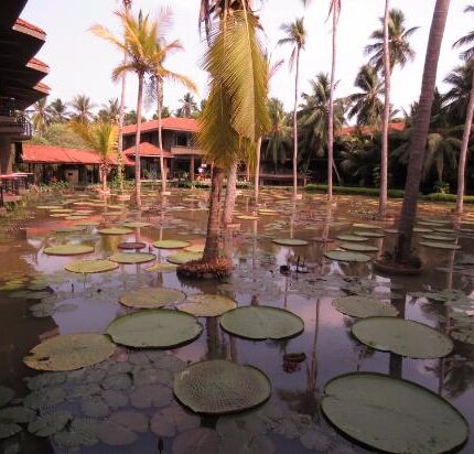 Dindi Tour Package 2 Days Best Price