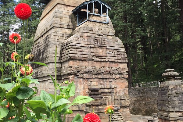 Almora Binsar Jageshwar Tour Package 4 Days Almora Binsar Jageshwar Tour Package 4 Days