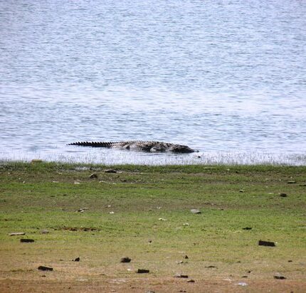 Madhav National Park Tour Package 2 Days