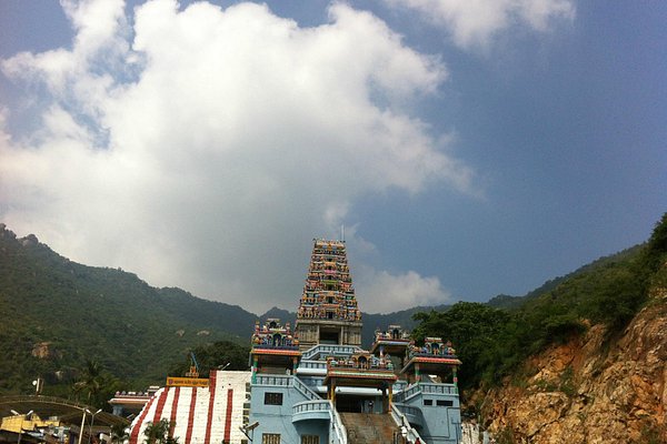 Yercaud Ooty Coimbatore Tour Package 6 Days Yercaud Ooty Coimbatore Tour Package 6 Days