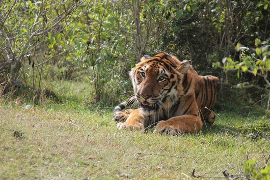 Mudumalai Tour Package 2 Days Mudumalai Tour Package 2 Days