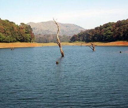 Kodaikanal Munnar Thekkady Tour Package from Madurai 5 Days