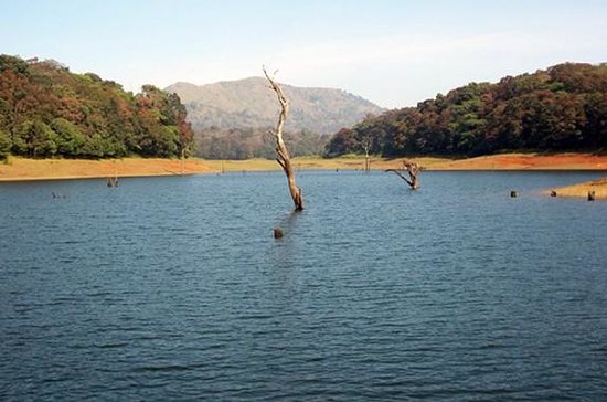 Kodaikanal Munnar Thekkady Tour Package from Madurai 5 Days Kodaikanal Munnar Thekkady Tour Package from Madurai 5 Days