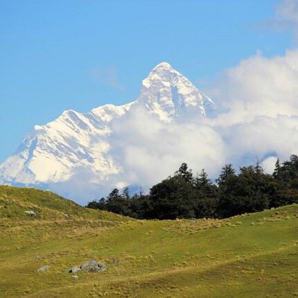 Joshimath Auli Valley of Flowers Hemkund Sahib tour package 6 days