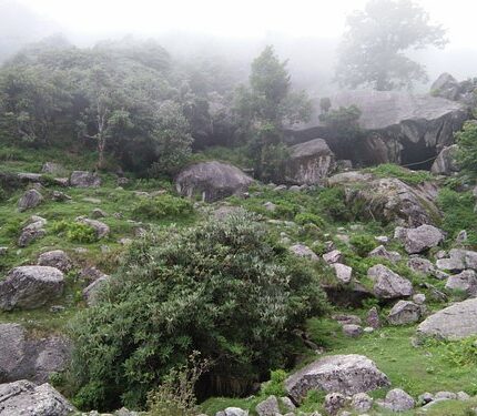 palampur tea gardens baijnath temple tour package 4 days