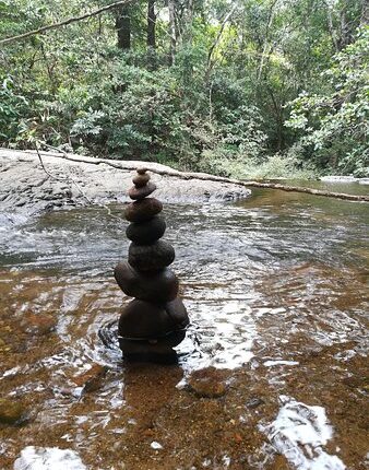 Agasthyakoodam Tour Package 2 Days