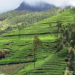 Kodaikanal Tour Package from Nagpur 5 Days