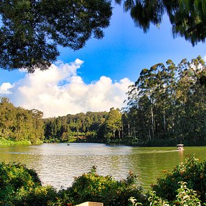 Ooty Coonoor Kotagiri Bandipur National Park Tour Package 5 Days