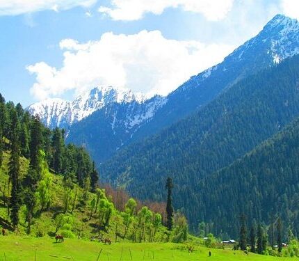 Srinagar Pahalgam Tour Package 4 Days
