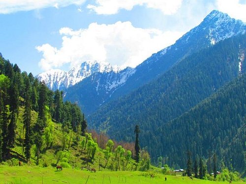 Srinagar Pahalgam Tour Package 4 Days Srinagar Pahalgam Tour Package 4 Days