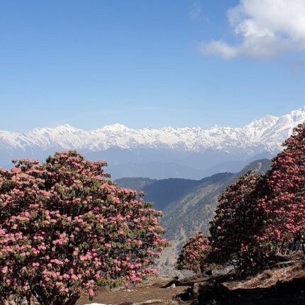 kedarnath chopta tour package from jabalpur