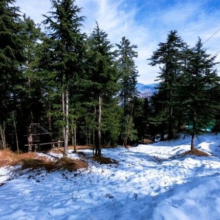 shimla kasauli tour package