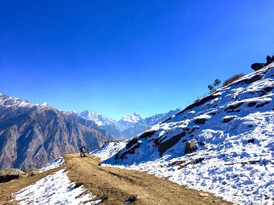 Munsiyari Darkot Village Chaukori Tour Package 4 Days