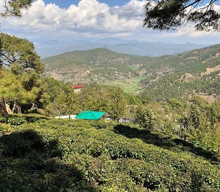 Kausani Baijnath Bageshwer Almora Binsar Tour Package 6 Days
