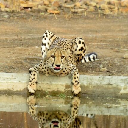 Kuno National Park Tour Package 2 Days