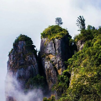 Kodaikanal Madurai Dindigul Tour Package from Hyderabad 5 Days