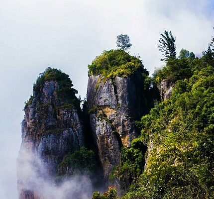 Kodaikanal Tour Package from Dhanbad 5 Days