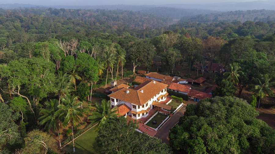 coorg tour package from mysore 4 days coorg tour package from mysore 4 days