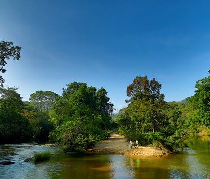 Thattekad Tour Package 2 Days