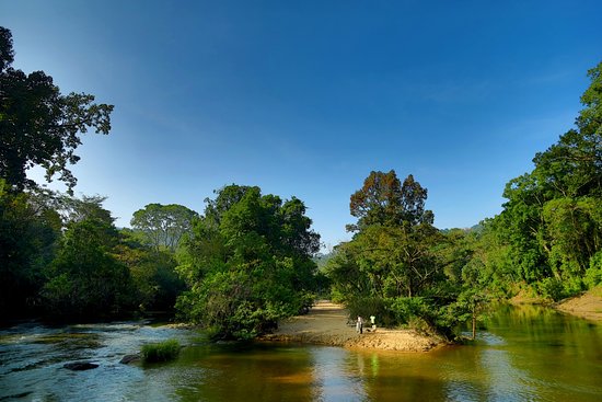 Thattekad Tour Package 2 Days Thattekad Tour Package 2 Days