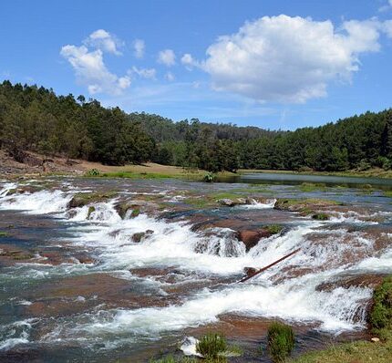 Nilgiri Hills Tour Package 2 Days