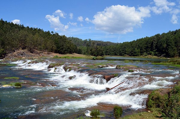 Nilgiri Hills Tour Package 2 Days Nilgiri Hills Tour Package 2 Days