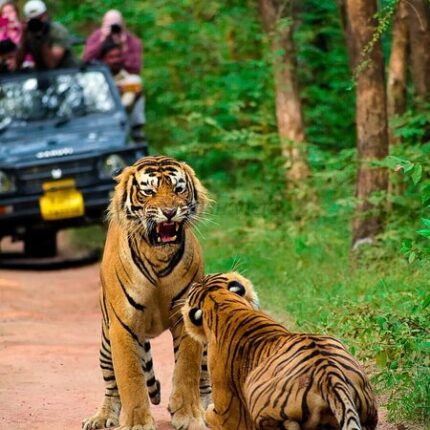 Jaipur Ranthambore Kota Udaipur Tour Package 7 Days