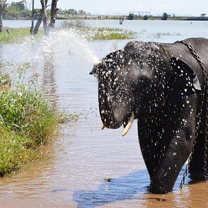 Agumbe Udupi Tour Package