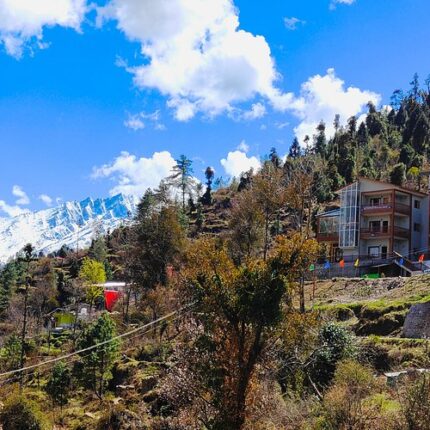 auli tour package from rishikesh