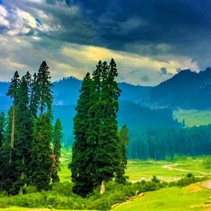 Sonmarg Doodhpathri Tour Package 4 Days