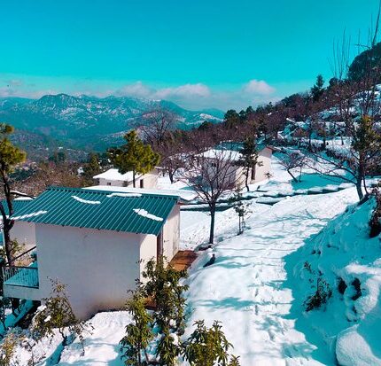 Champawat Lohaghat Mayawati Ashram Tour Package 4 Days