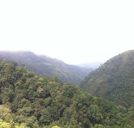 Silent Valley Tour Package 2 Days