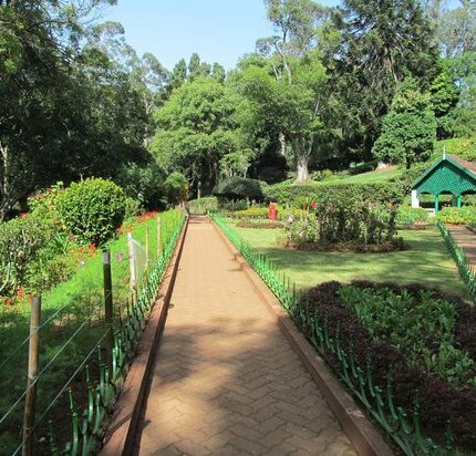 Ooty Lake Botanical Garden Rose Garden Coonoor Sim’s Park Tour Package 4 Days
