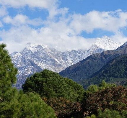 palampur andretta kangra tour package 4 days