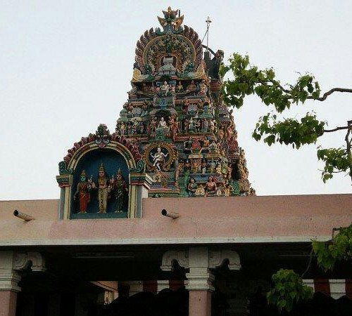 Kodaikanal Tour Package from Surat 5 Days Kodaikanal Tour Package from Surat 5 Days