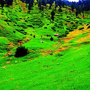Gulmarg Doodhpathri Tour Package 3 Days