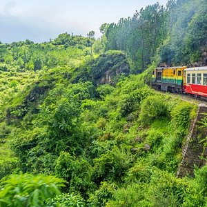 Ooty Tour Package 5 Days from Solapur
