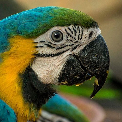 Yercaud Yelagiri Tour Package 3 Days Yercaud Yelagiri Tour Package 3 Days