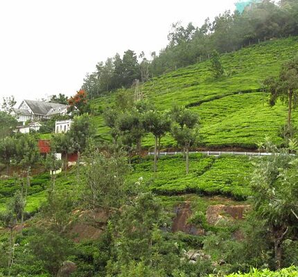 Ooty Coonoor Kotagiri Tour Package from Mumbai 5 Days