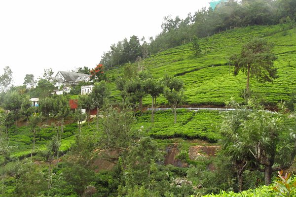 Ooty Coonoor Kotagiri Tour Package from Mumbai 5 Days Ooty Coonoor Kotagiri Tour Package from Mumbai 5 Days