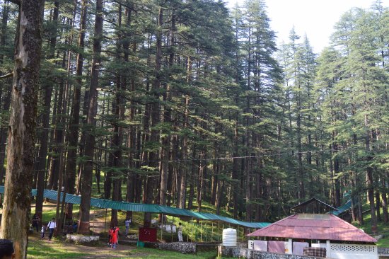 Lansdowne Kotdwar Tarkeshwar Mahadev tour package 4 days Lansdowne Kotdwar Tarkeshwar Mahadev tour package 4 days