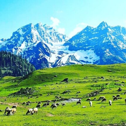 Srinagar Gulmarg Pahalgam Sonmarg Tour Package 6 Days