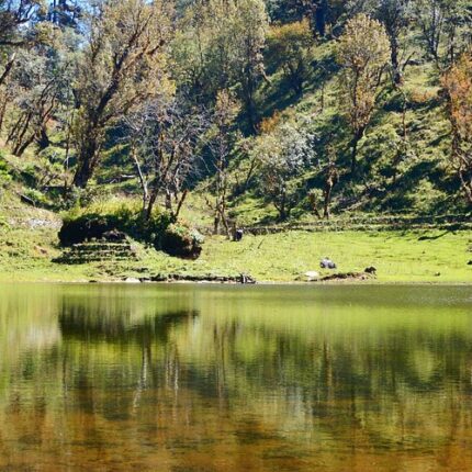 Munsiyari Birthi Falls Pithoragarh Chaukori Tour Package 5 Days