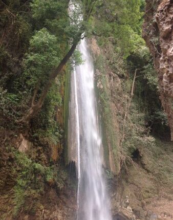 Mussoorie Dhanaulti Kanatal Chakrata Tiger Falls Deoban tour package 6 days